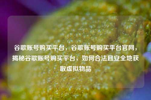 谷歌账号购买平台，谷歌账号购买平台官网，揭秘谷歌账号购买平台，如何合法且安全地获取虚拟物品