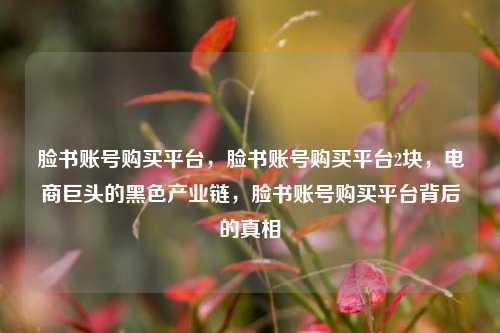 脸书账号购买平台，脸书账号购买平台2块，电商巨头的黑色产业链，脸书账号购买平台背后的真相