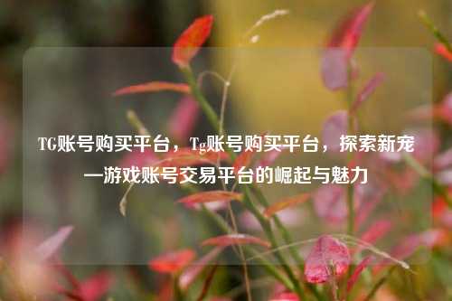 TG账号购买平台，Tg账号购买平台，探索新宠—游戏账号交易平台的崛起与魅力