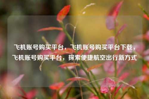 飞机账号购买平台，飞机账号购买平台下载，飞机账号购买平台，探索便捷航空出行新方式