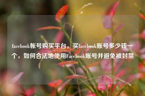 facebook帐号购买平台，买facebook账号多少钱一个，如何合法地使用Facebook账号并避免被封禁