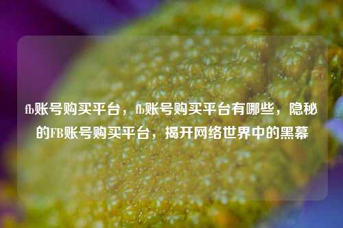 fb账号购买平台，fb账号购买平台有哪些，隐秘的FB账号购买平台，揭开网络世界中的黑幕