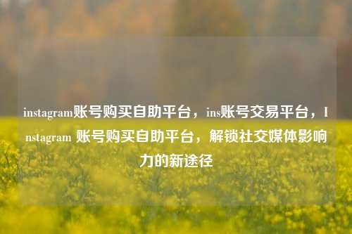 instagram账号购买自助平台，ins账号交易平台，Instagram 账号购买自助平台	，解锁社交媒体影响力的新途径  第1张