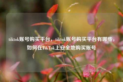 tiktok账号购买平台，tiktok账号购买平台有哪些，如何在TikTok上安全地购买账号