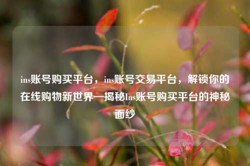 ins账号购买平台，ins账号交易平台，解锁你的在线购物新世界—揭秘Ins账号购买平台的神秘面纱