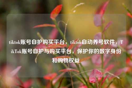 tiktok账号自护购买平台，tiktok自动养号软件	，TikTok账号自护与购买平台，保护你的数字身份和购物权益  第1张