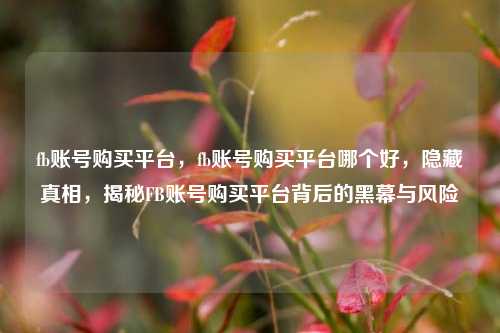 fb账号购买平台，fb账号购买平台哪个好，隐藏真相，揭秘FB账号购买平台背后的黑幕与风险