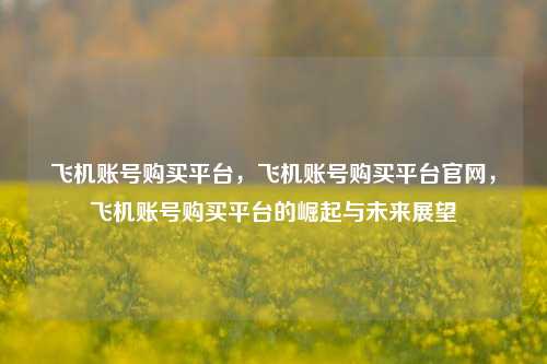 飞机账号购买平台，飞机账号购买平台官网，飞机账号购买平台的崛起与未来展望