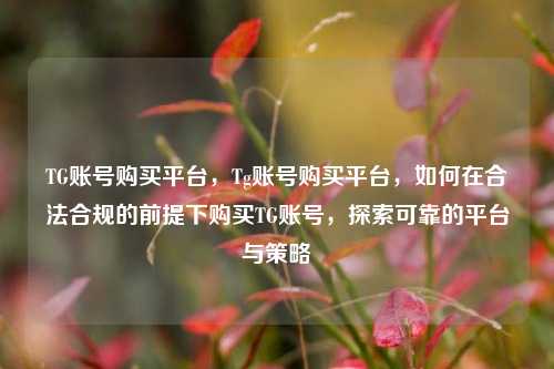 TG账号购买平台	，Tg账号购买平台，如何在合法合规的前提下购买TG账号，探索可靠的平台与策略  第1张