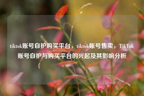 tiktok账号自护购买平台，tiktok账号售卖，TikTok账号自护与购买平台的兴起及其影响分析