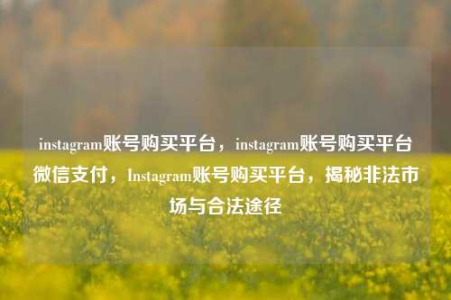 instagram账号购买平台，instagram账号购买平台微信支付，Instagram账号购买平台，揭秘非法市场与合法途径