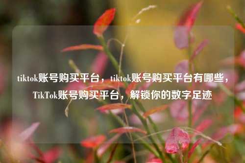 tiktok账号购买平台，tiktok账号购买平台有哪些，TikTok账号购买平台，解锁你的数字足迹