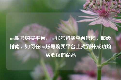 ins账号购买平台，ins账号购买平台官网，超级指南，如何在Ins账号购买平台上找到并成功购买心仪的商品
