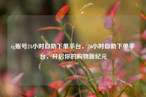 tg账号24小时自助下单平台，24小时自助下单平台，开启你的购物新纪元
