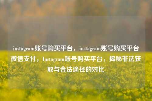 instagram账号购买平台，instagram账号购买平台微信支付，Instagram账号购买平台，揭秘非法获取与合法途径的对比