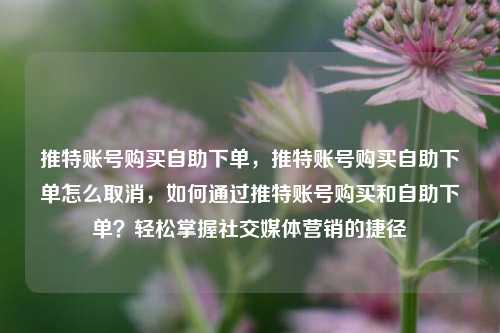 推特账号购买自助下单，推特账号购买自助下单怎么取消，如何通过推特账号购买和自助下单？轻松掌握社交媒体营销的捷径