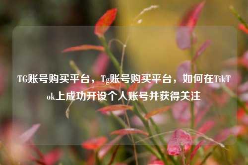 TG账号购买平台，Tg账号购买平台，如何在TikTok上成功开设个人账号并获得关注