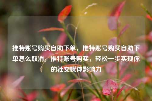 推特账号购买自助下单，推特账号购买自助下单怎么取消，推特账号购买	，轻松一步实现你的社交媒体影响力  第1张