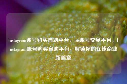 instagram账号购买自助平台，ins账号交易平台，Instagram账号购买自助平台，解锁你的在线商业新篇章