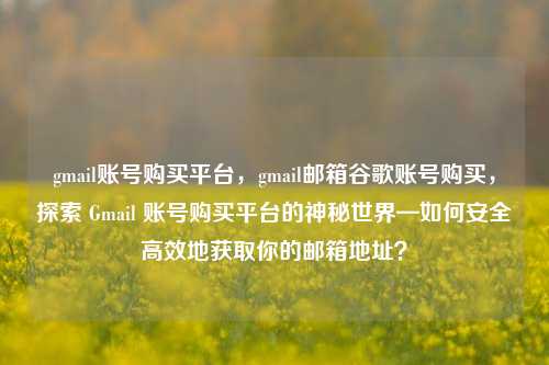 gmail账号购买平台，gmail邮箱谷歌账号购买，探索 Gmail 账号购买平台的神秘世界—如何安全高效地获取你的邮箱地址？