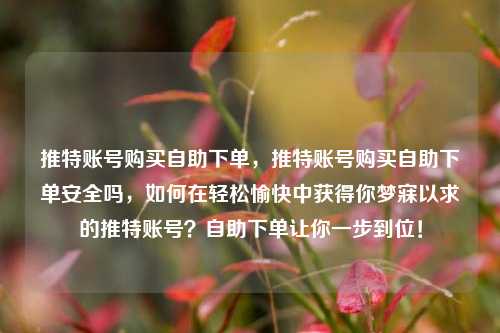 推特账号购买自助下单，推特账号购买自助下单安全吗，如何在轻松愉快中获得你梦寐以求的推特账号？自助下单让你一步到位！
