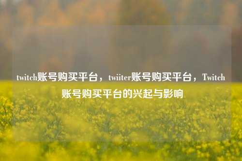 twitch账号购买平台，twiiter账号购买平台，Twitch 账号购买平台的兴起与影响