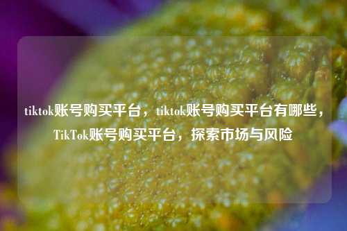 tiktok账号购买平台，tiktok账号购买平台有哪些，TikTok账号购买平台，探索市场与风险