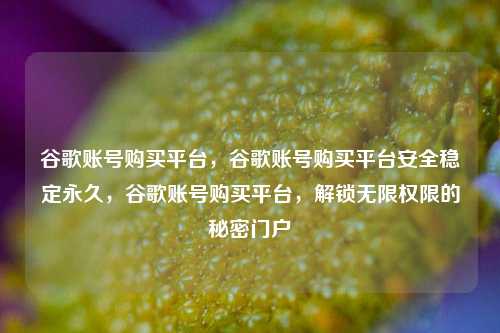 谷歌账号购买平台，谷歌账号购买平台安全稳定永久，谷歌账号购买平台，解锁无限权限的秘密门户