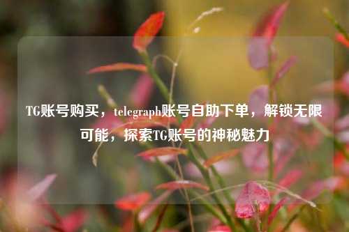 TG账号购买，telegraph账号自助下单，解锁无限可能，探索TG账号的神秘魅力