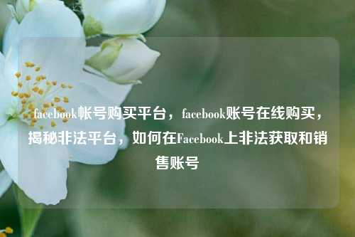 facebook帐号购买平台，facebook账号在线购买，揭秘非法平台，如何在Facebook上非法获取和销售账号