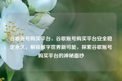 谷歌账号购买平台，谷歌账号购买平台安全稳定永久，解锁数字世界新可能，探索谷歌账号购买平台的神秘面纱