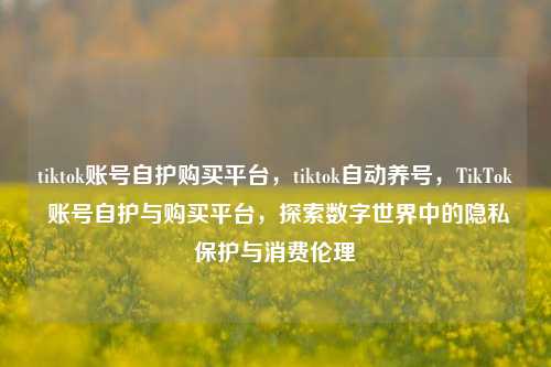 tiktok账号自护购买平台，tiktok自动养号，TikTok 账号自护与购买平台，探索数字世界中的隐私保护与消费伦理