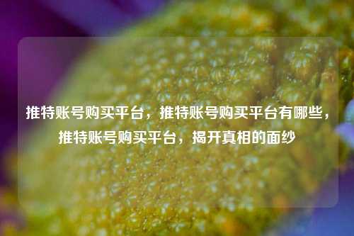 推特账号购买平台，推特账号购买平台有哪些，推特账号购买平台，揭开真相的面纱