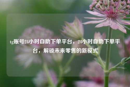 tg账号24小时自助下单平台，24小时自助下单平台，解锁未来零售的新模式