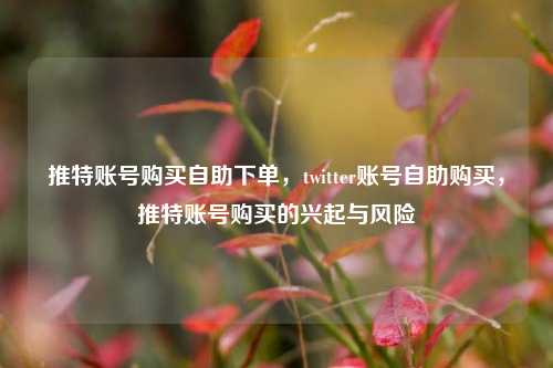 推特账号购买自助下单，twitter账号自助购买，推特账号购买的兴起与风险