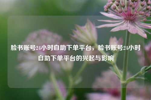 脸书账号24小时自助下单平台，脸书账号24小时自助下单平台的兴起与影响