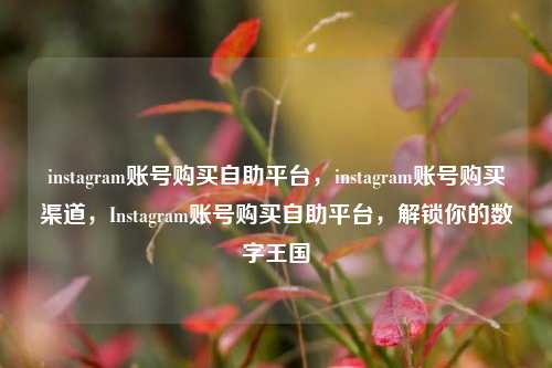 instagram账号购买自助平台	，instagram账号购买渠道，Instagram账号购买自助平台，解锁你的数字王国  第1张