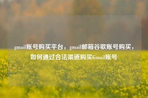 gmail账号购买平台，gmail邮箱谷歌账号购买，如何通过合法渠道购买Gmail账号