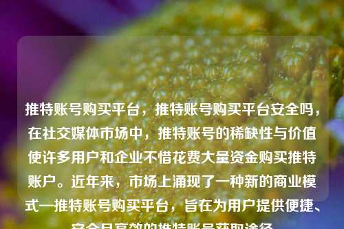 推特账号购买平台，推特账号购买平台安全吗，在社交媒体市场中，推特账号的稀缺性与价值使许多用户和企业不惜花费大量资金购买推特账户。近年来，市场上涌现了一种新的商业模式—推特账号购买平台，旨在为用户提供便捷、安全且高效的推特账号获取途径