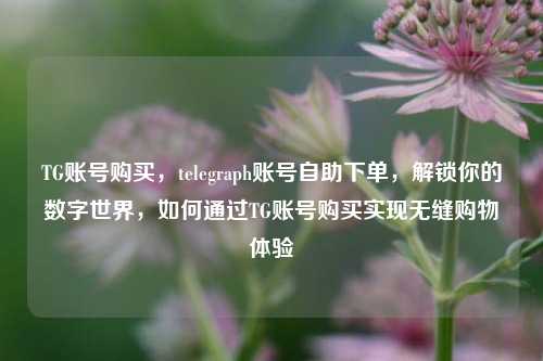 TG账号购买，telegraph账号自助下单，解锁你的数字世界，如何通过TG账号购买实现无缝购物体验