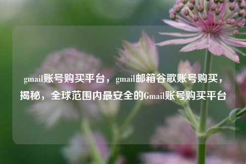 gmail账号购买平台，gmail邮箱谷歌账号购买，揭秘	，全球范围内最安全的Gmail账号购买平台  第1张