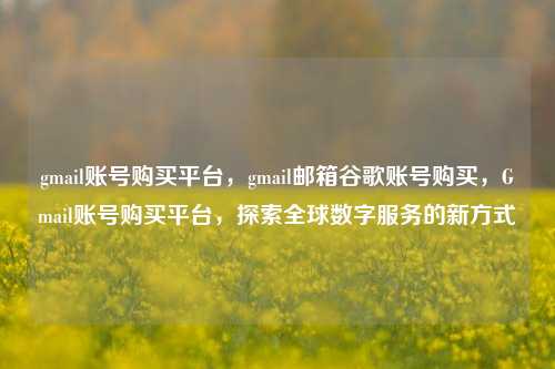 gmail账号购买平台，gmail邮箱谷歌账号购买，Gmail账号购买平台，探索全球数字服务的新方式