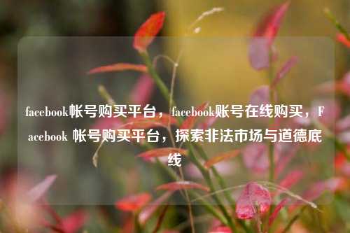 facebook帐号购买平台，facebook账号在线购买，Facebook 帐号购买平台，探索非法市场与道德底线