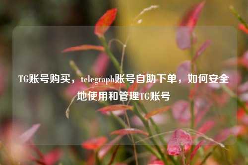 TG账号购买，telegraph账号自助下单，如何安全地使用和管理TG账号