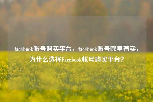 facebook帐号购买平台，facebook账号哪里有卖，为什么选择Facebook帐号购买平台？