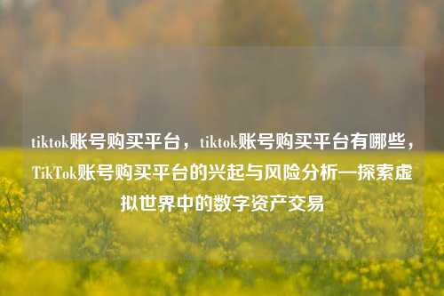 tiktok账号购买平台，tiktok账号购买平台有哪些，TikTok账号购买平台的兴起与风险分析—探索虚拟世界中的数字资产交易