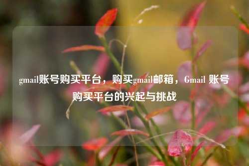 gmail账号购买平台，购买gmail邮箱，Gmail 账号购买平台的兴起与挑战