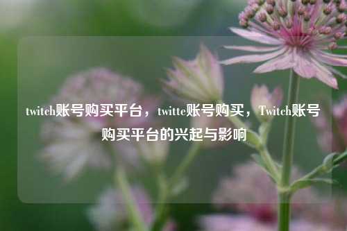 twitch账号购买平台，twitte账号购买，Twitch账号购买平台的兴起与影响