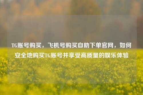 TG账号购买，飞机号购买自助下单官网，如何安全地购买TG账号并享受高质量的娱乐体验