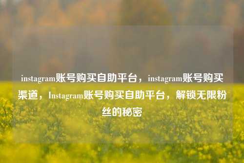 instagram账号购买自助平台，instagram账号购买渠道，Instagram账号购买自助平台，解锁无限粉丝的秘密